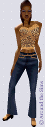 Around the Sims