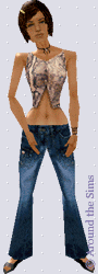 Around the Sims