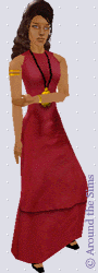 Around the Sims