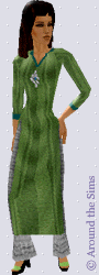 Around the Sims