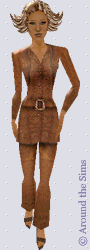 Around the Sims