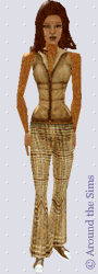 Around the Sims