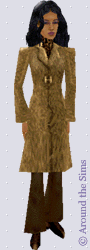 Around the Sims